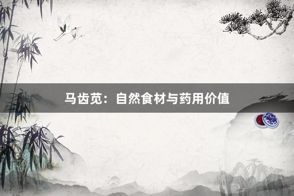 马齿苋：自然食材与药用价值