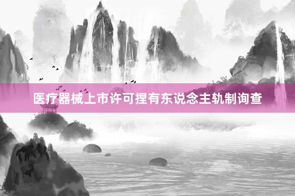 医疗器械上市许可捏有东说念主轨制询查