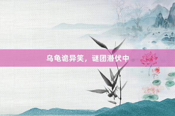 乌龟诡异笑,谜团潜伏中